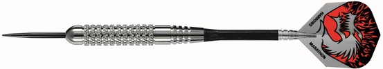 Strelytės HARROWS SILVER ARROWS DARTS 3x24gK 2